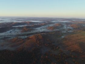 Aerial landscape of the early morning mist over the Spicers Creek ranges