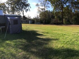 Grassed camp area