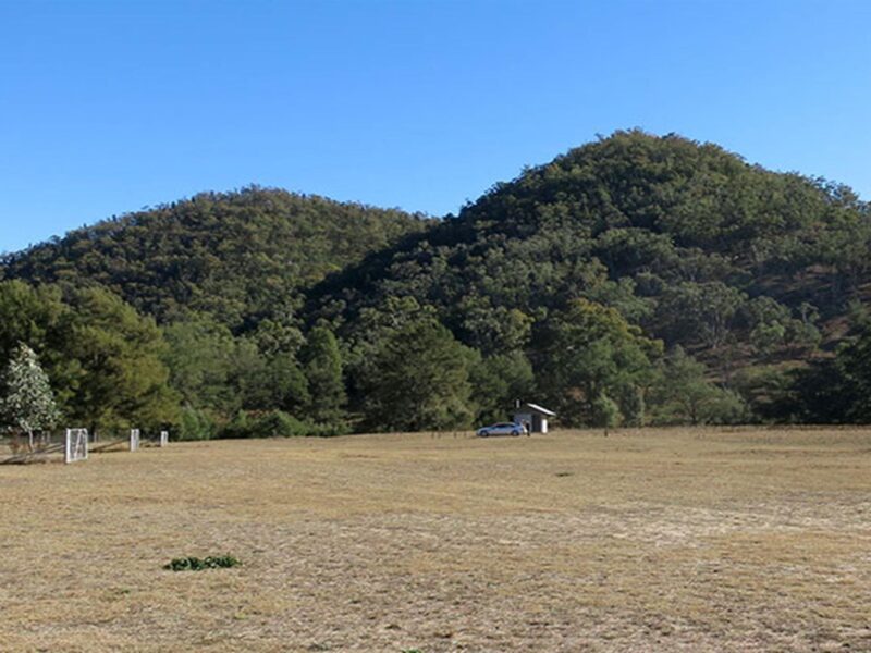 Capertee campground with tree-covered hills in the background in Capertee National Park. Photo: