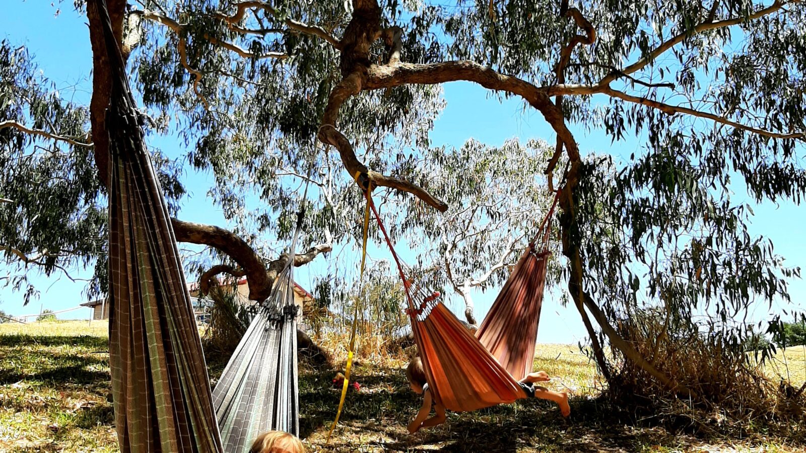 Time to relax... bring your hammock if you have one or two or three. The huge apple box tree provides a perfect spot to chill in the shade.
