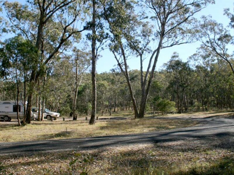 Dangars Gorge campground, Oxley Wild Rivers National Park. Photo: OEH