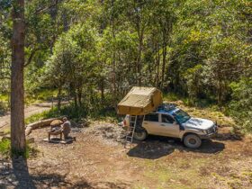 A man cooking at a fire pit next to his vehicle at Devils Hole campground in Barrington Tops State