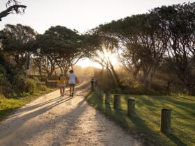Walkers at sunset at Diamond Head campground, Crowdy Bay National Park. Photo: Rob Mulally/DPIE