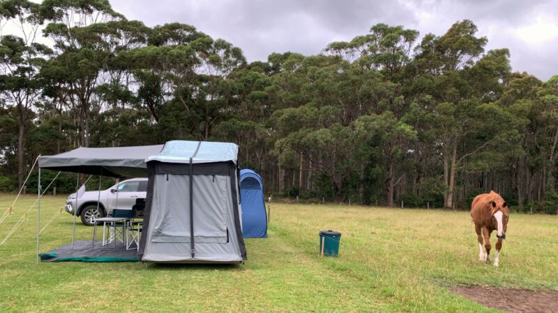 Figtree Camp @ Mystery Bay