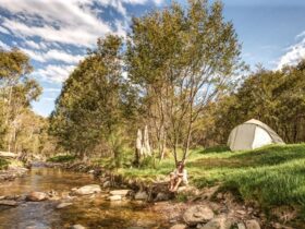 Flea Creek campground, Brindabella National Park. Photo: Murray Vanderveer/OEH