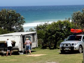 Campers with their camper trailer at Gillards campground, Mimosa Rocks National Park. Photo: John