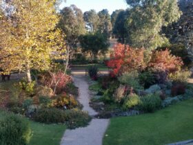 Autumn garden at Glenhope B&B Armidale