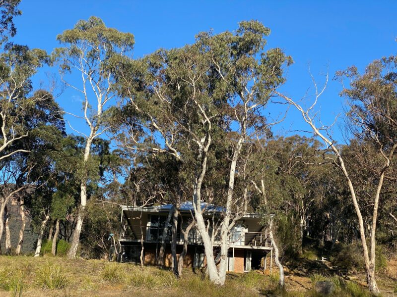 House is set on 168 acres of bushland