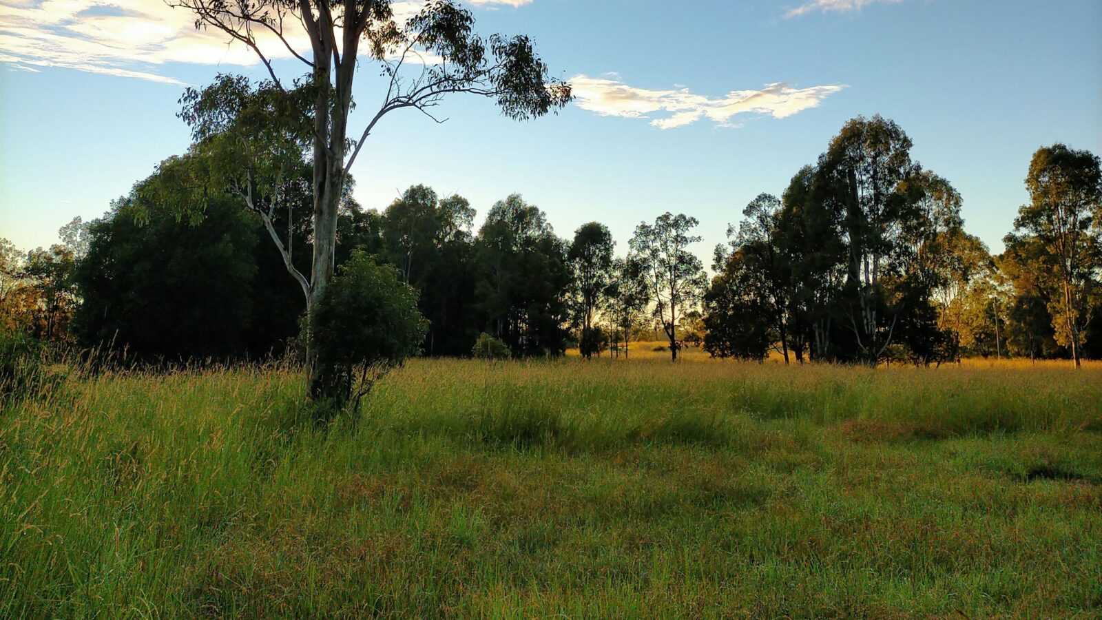 Sunrise at Gracemere