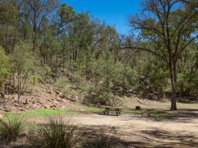 Grassy clearing surrounded by trees with a picnic table and wood barbecue at Gum Hole campground and