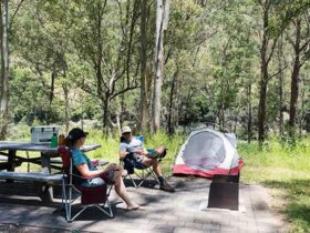 Halls Peak campground in Oxley Wild Rivers National Park. Photo: Leah Pippos © DPIE