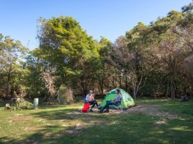 Two campers sitting outside their tent at Hobart Beach campground, Bournda National Park. Photo: