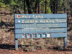 Holy Camp, Weddin Mountains National Park. Photo: C Davis/NSW Government