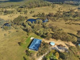 Aerial view of Honeyeater Homestead surrounded by ironbark forest in Capertee National Park. Photo: