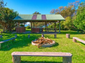 An area with benches and a firepit, perfect for groups at Illaroo group camping area in Yuraygir