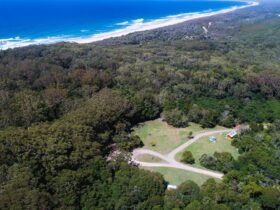 Aerial view of Indian Head campground, Crowdy Bay National Park. Photo: Rob Mulally/DPIE
