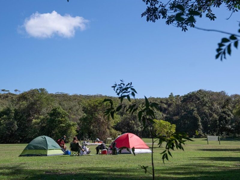 A group of campers sitting around a table at Indian Head campground, Crowdy Bay National Park.