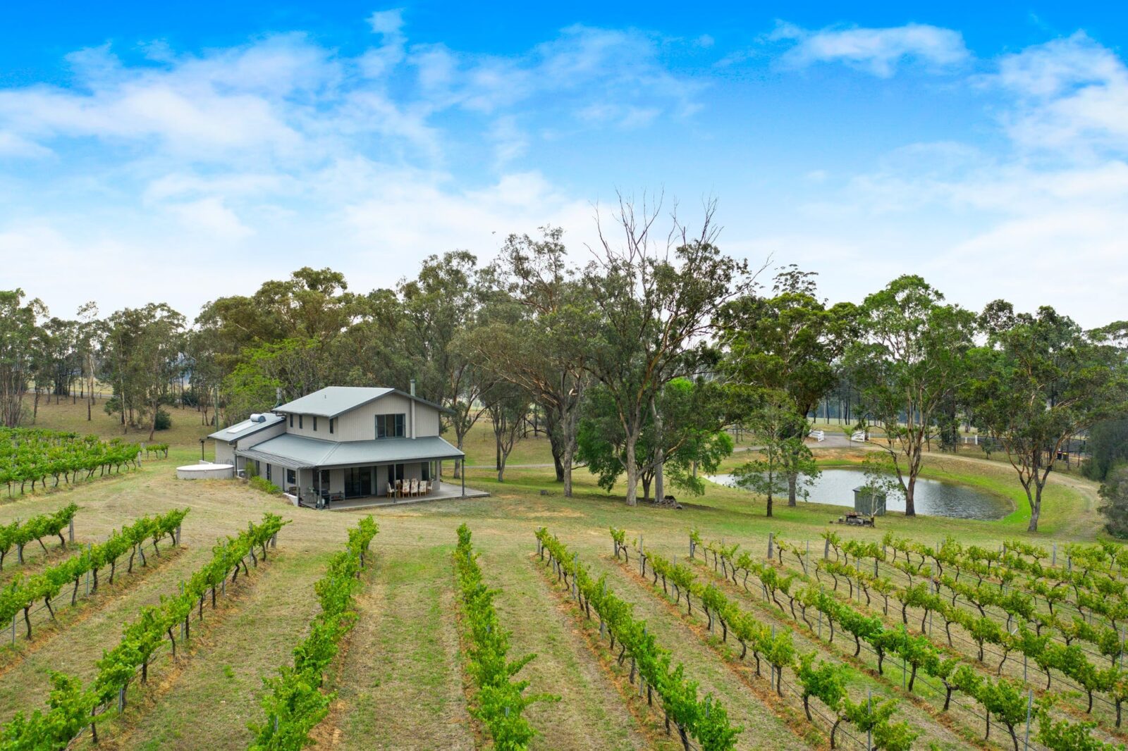 Gorgeous cottage with view of the vines and the dam