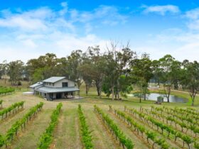 Gorgeous cottage with view of the vines and the dam
