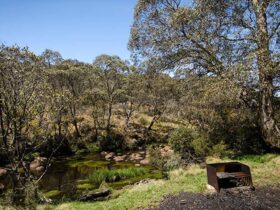 Junction Pools campground, Barrington Tops National Park. Photo: John Spencer/NSW Government