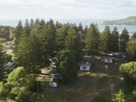 Drone image of the cabins surrounded by trees and ocean