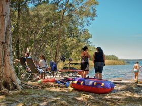 Korsmans Landing campground, Myall Lakes National Park. Photo: John Spencer/NSW Government