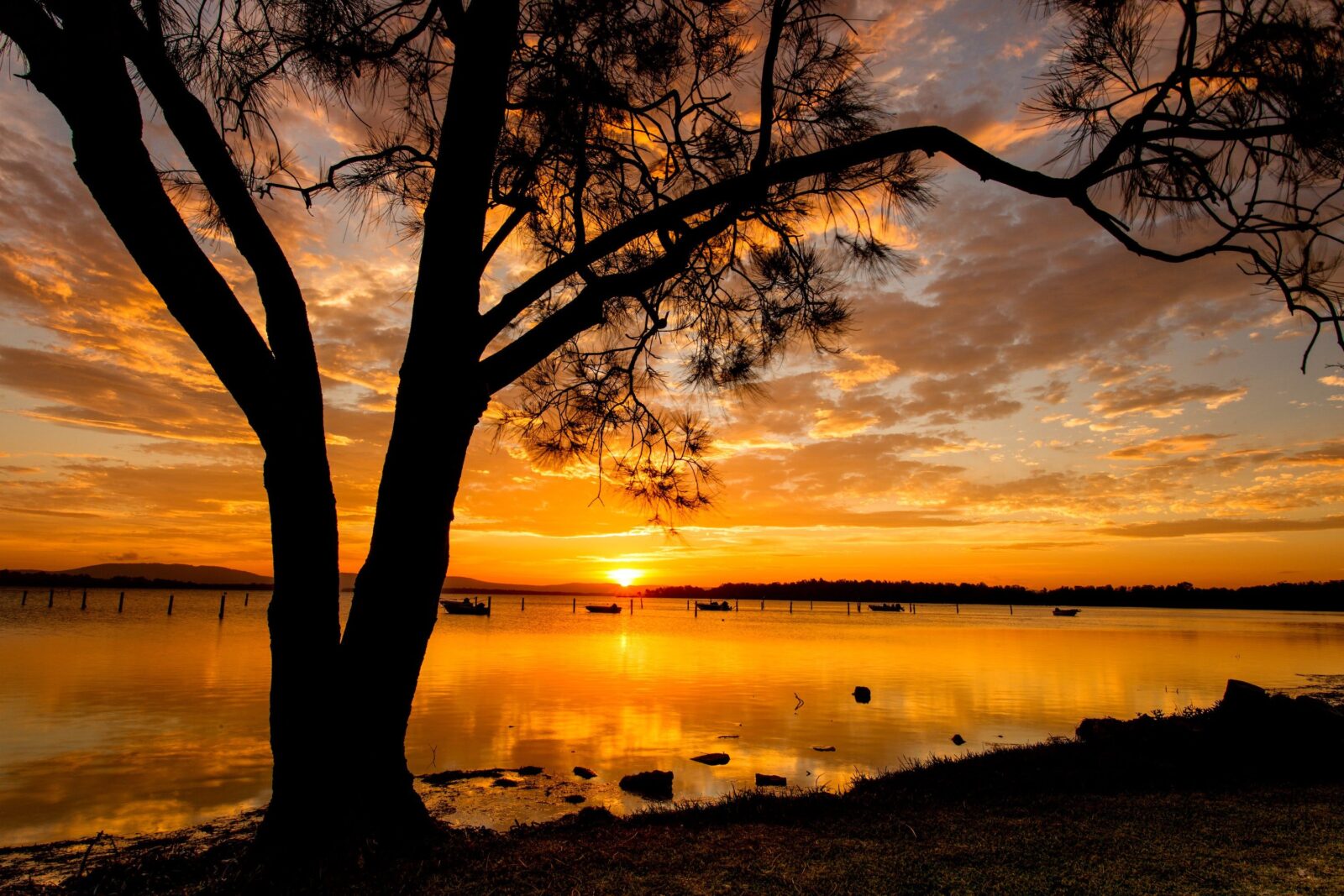 Sunset on The Lake