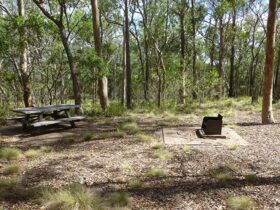 A picnic table and wood barbecue at Long Point campground in Oxley Wild Rivers National Park. Photo: