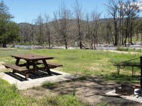 Mann River campground and picnic area, Mann River Nature Reserve. Photo credit: Leah Pippos ©