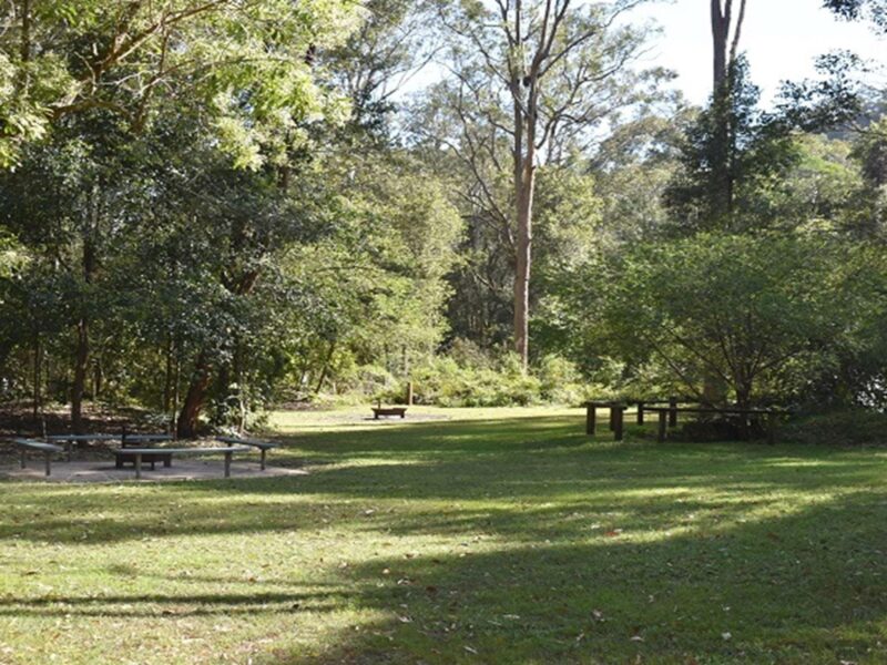 Grassy area at Mill Creek campground. Photo: Sarah Brookes © DPIE