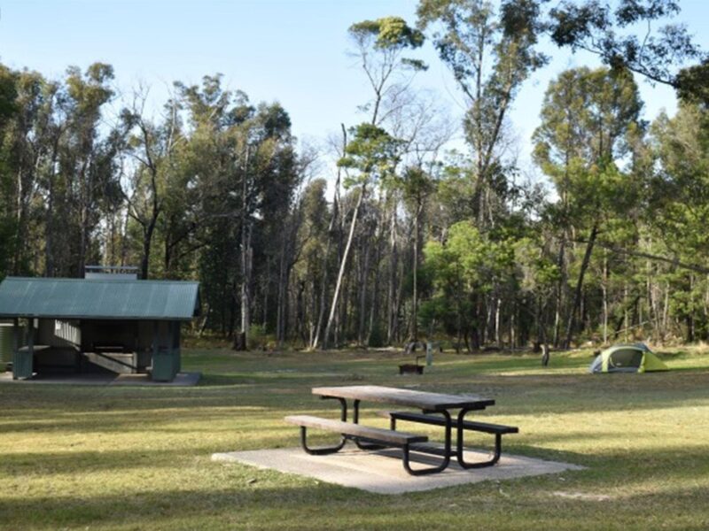A picnic table and picnic shelter at Mogo campground in Yengo National Park. Photo: Sarah Brookes