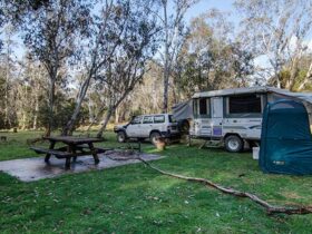 Mooraback campground, Werrikimbe National Park. Photo: John Spencer/NSW Government