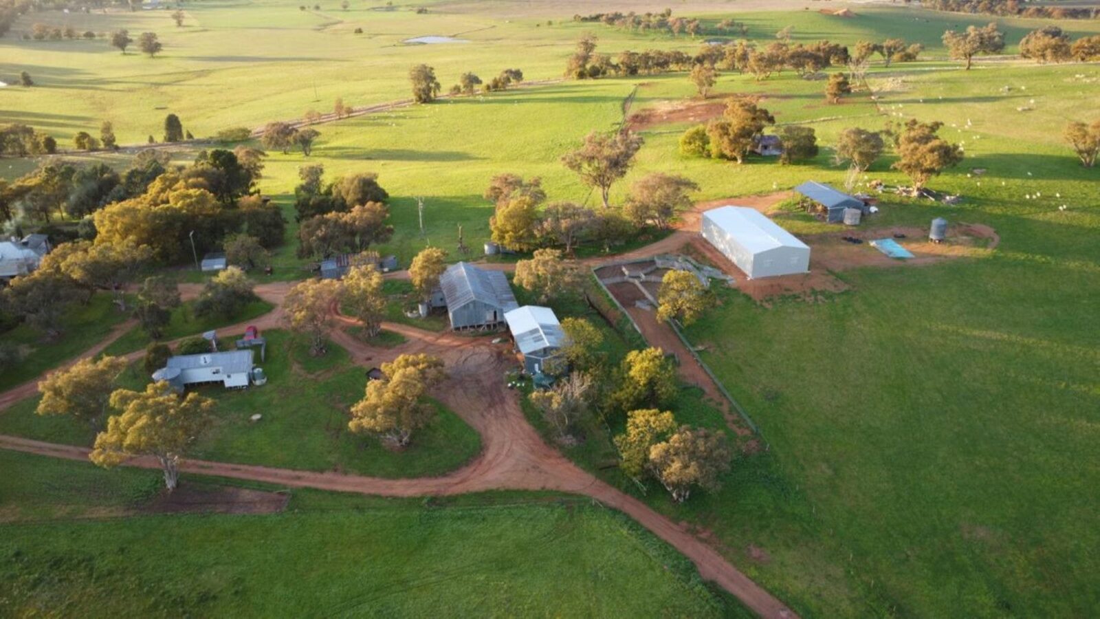 Aerial view of Mullemblah. Green paddocks and shearing sheds surround the house