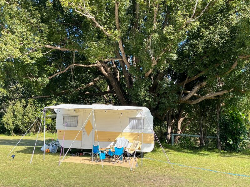Classic caravan under a large shady tree