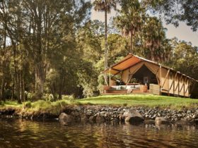 Myall River Camp glamping tent exterior