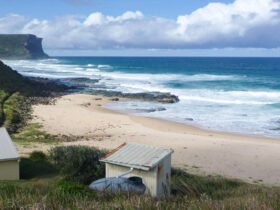 North Era Beach, Royal National Park. Photo: Andy Richards/NSW Government