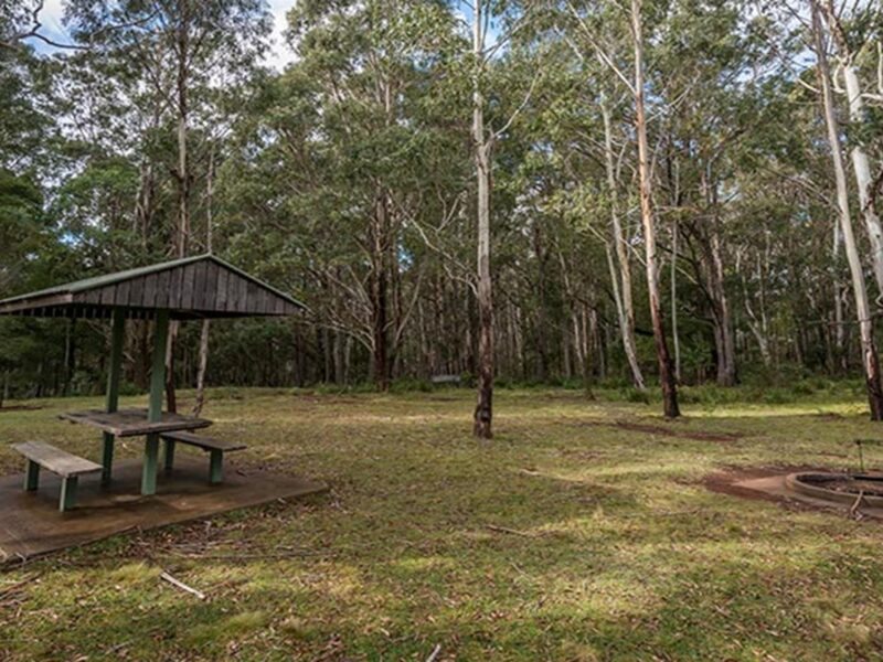 Nunnock camground site showing covered picnic table and fire ring in a grassy area, with forest