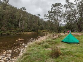 A green tent beside the Swampy Plain River at Old Geehi campground, Kosciuszko National Park. Photo: