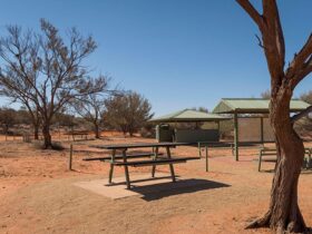 A picnic table, information sign and barbecue shelter at Olive Downs campground in Sturt National