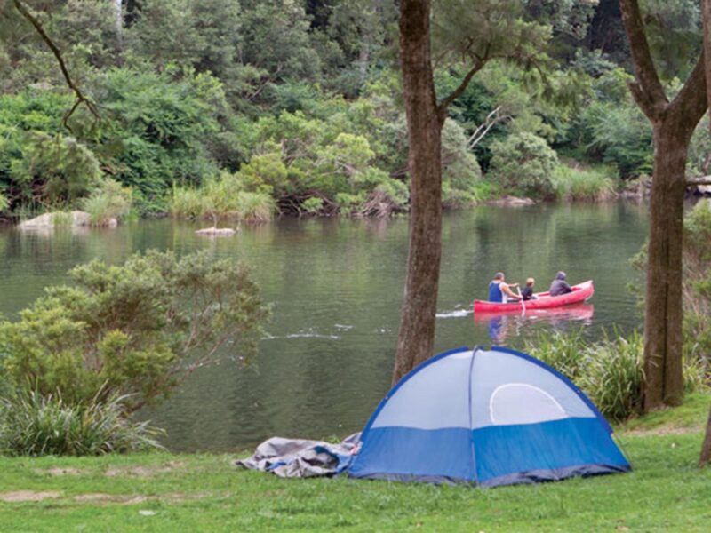 Platypus Flat campground, Nymboi-Binderay National Park. Photo: Rob Cleary/NSW Government
