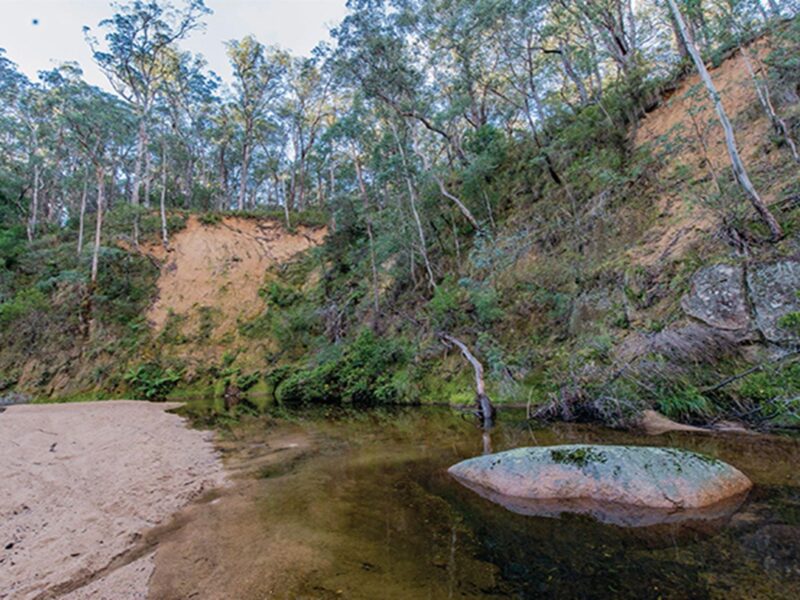 Swimming spot with a large boulder in Tantawangalo creek against a forest backdrop. Photo: John