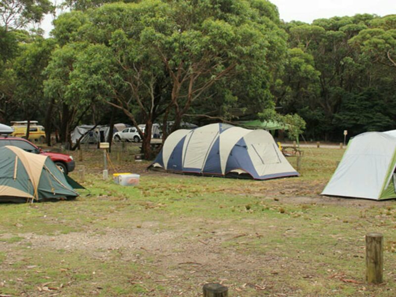 Tents at Pretty Beach campground, Murramarang National Park. Photo: John Yurasek © OEH