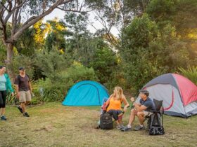 Group of friends camping at Putty Beach campground. Photo: John Spencer/DPIE