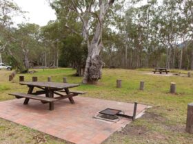 Riverside campground and picnic area, Oxley Wild Rivers National Park. Photo: Rob Cleary/DPIE