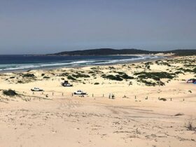 View across sand to vehicles, people, and a tent on Samurai Beach in Tomaree National Park. Photo: