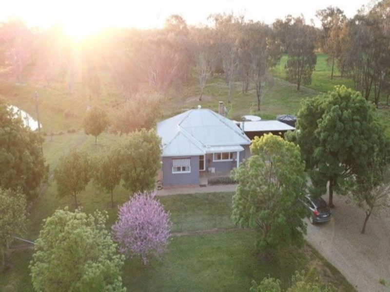 Arial view of Shelduck Cottage, surrounded by green and pink trees, green grass and a sunset.