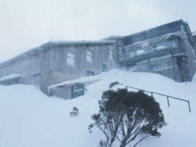 Snowbird Lodge