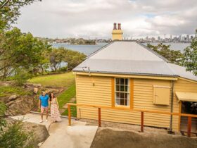 View of Steele Point Cottage from the embarkment with the Sydney Harbour skyline in the distance.