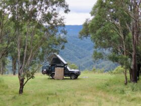 Flat mowed large campsite with stunning views of the Blue Mountains..
