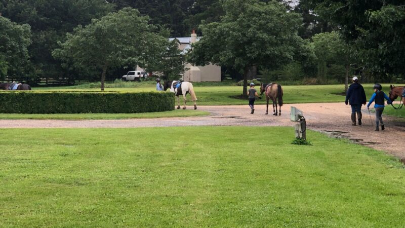 Sutton Farm Equestrian Centre